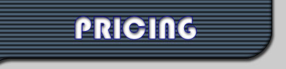 Page Title